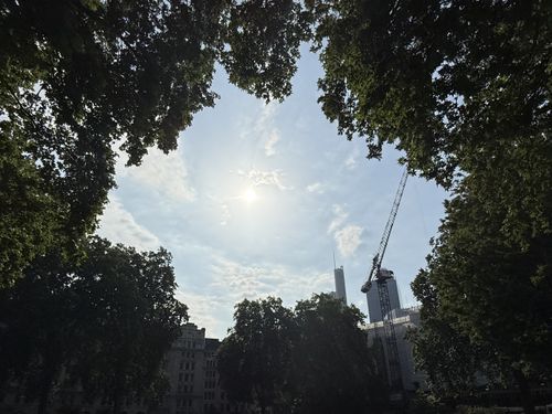 A gap in a tree canopy from a garden in London. Through the gap the sun glares. The sky is blue with some fluffy clouds. A tall building a a crane are also visible through the void in the trees.